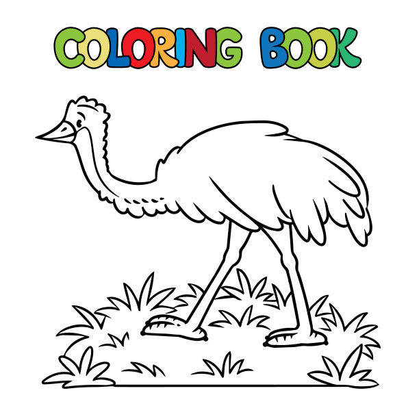 有趣的鸸鹋鸵鸟。动物图画书系列图片下载