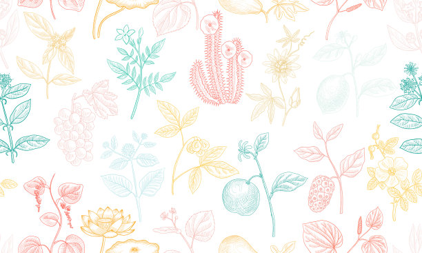 矢量画花无缝图案图片下载