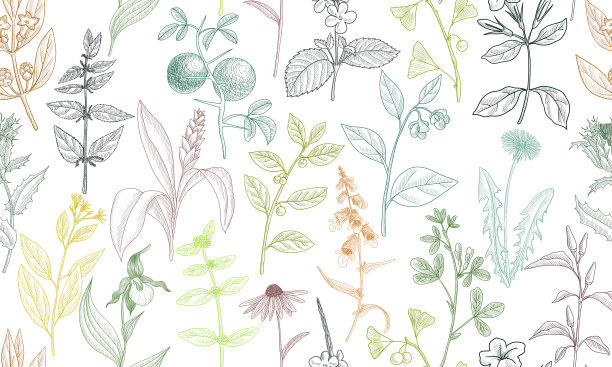 矢量画花无缝图案图片下载