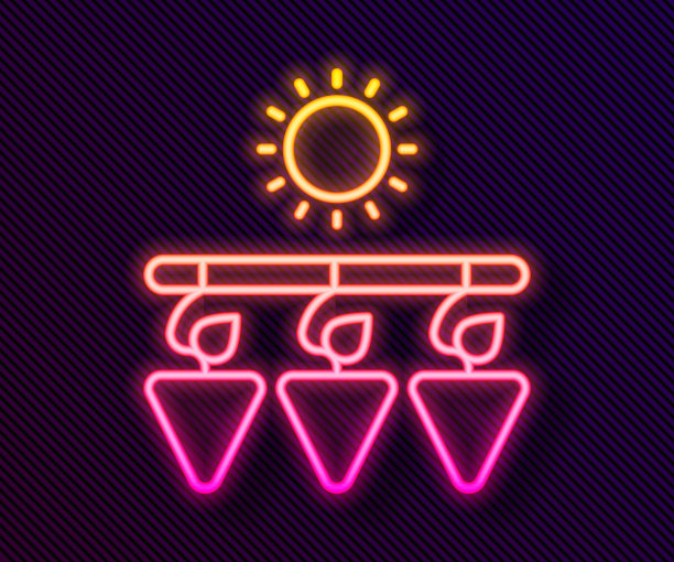 发光的霓虹灯线干燥的葡萄图标孤立在黑色背景。干葡萄。向量图片下载