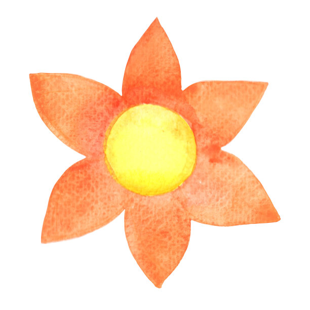 橙色花水彩插图，用于装饰春天和自然概念。图片下载