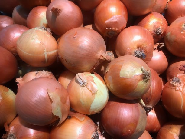 超市里出售的全画框洋葱的照片。图片下载