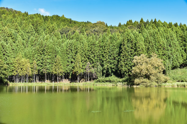 天然池塘“龙狮渊”位于海拔530m的山区图片下载