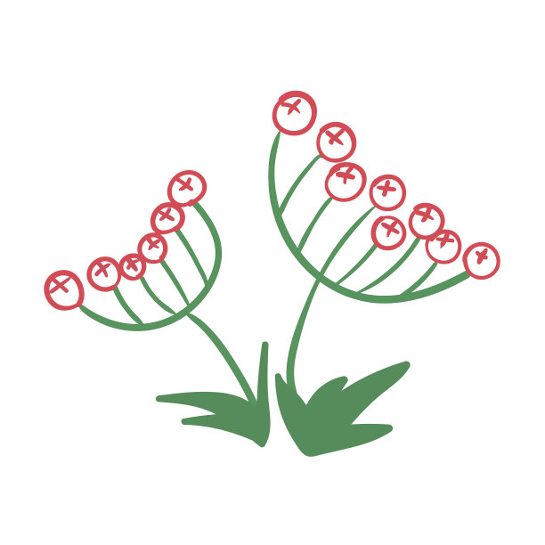 С色泽的荚莲属的植物图片下载