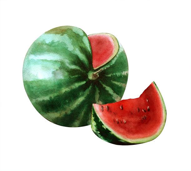 水彩红甜多汁西瓜，瓜皮绿纹黑籽图片下载
