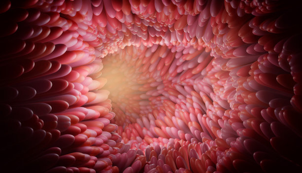 三维渲染插图，医学上准确的肠绒毛在一个健康的概念。微生物学、解剖学、生物学、科学、医学、医疗保健概念。三维渲染图片下载