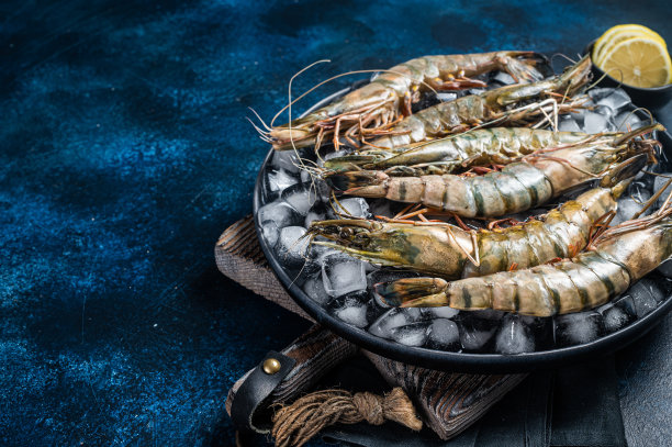 巨大的黑虎虾冰盘上的虾。生海鲜。蓝色背景。前视图。免费空间图片下载