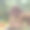 夏天公园里一个神奇动物的木制小房子图片下载