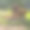 夏天公园里一个神奇动物的木制小房子图片下载