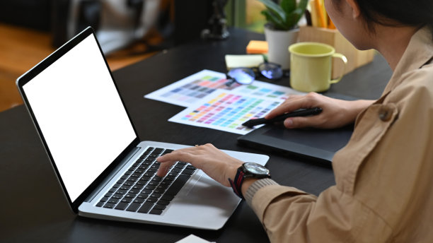 有创造力的女人用笔记本电脑和色板工作。图片下载
