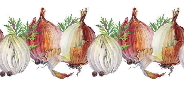 无缝边界水彩不剥皮和切片洋葱黑胡椒和绿色莳萝在白色背景。维生素金棕色蔬菜，为健康。手绘的辣味汤食谱图片下载