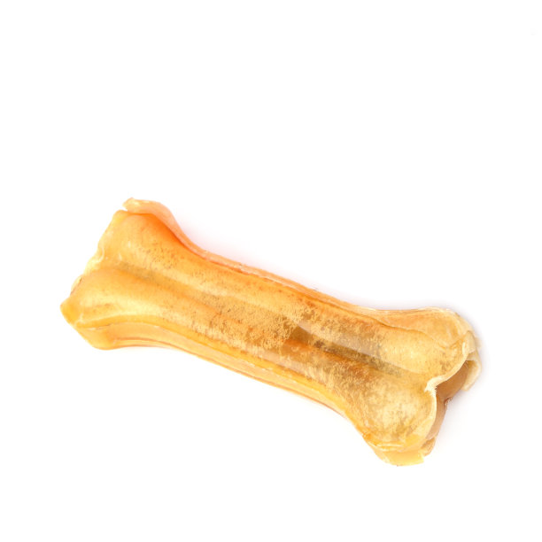 啃骨头的宠物孤立在白色背景。文本的空闲空间。图片下载