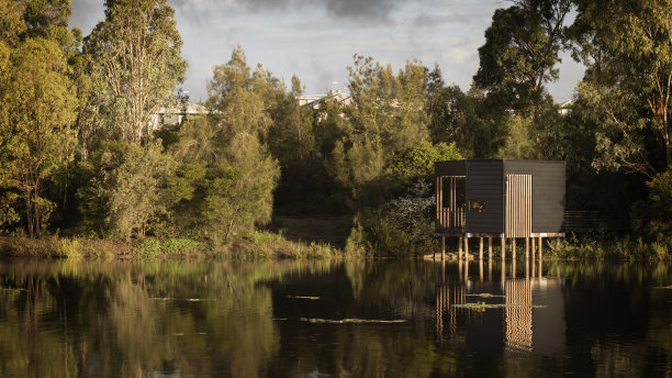 现代的鸟群俯瞰着郊外的人工湖。观鸟作为一种爱好概念照片。图片下载