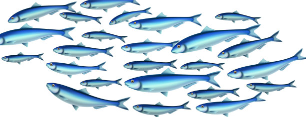 鱼滩写实构图图片下载