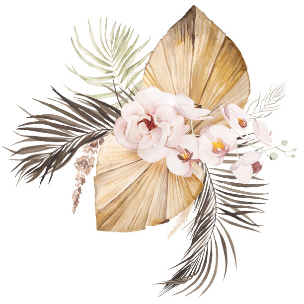 水彩波西米亚花束与干树叶和热带花卉插图图片下载