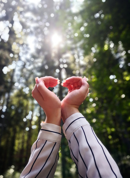 夏天，年轻女子的手朝着透过模糊树干的阳光，用手指做出心形的形状。关爱自然与环境的理念。爱的理念，和谐，精神健康和积极的态度图片下载