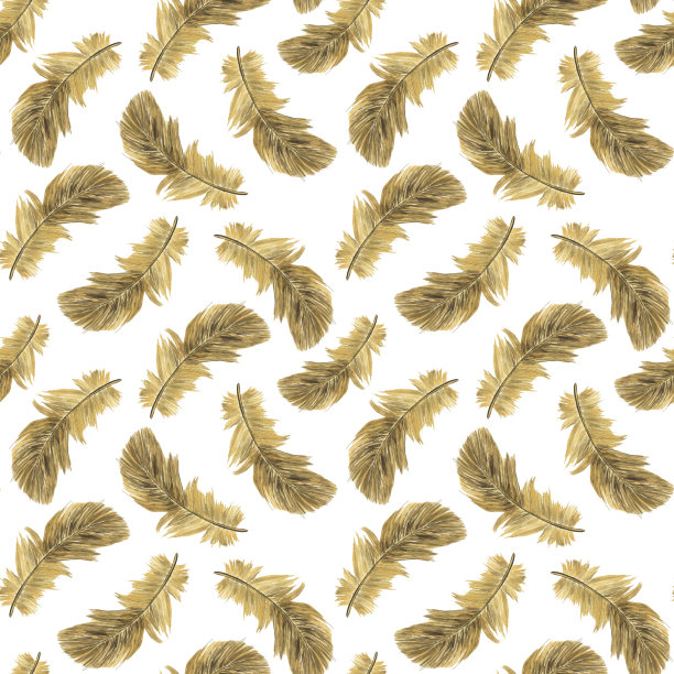 飞行的棕色羽毛在无缝模式在白色背景上。水彩手绘插图。以羽毛为背景或纺织品的写实绘画图片下载