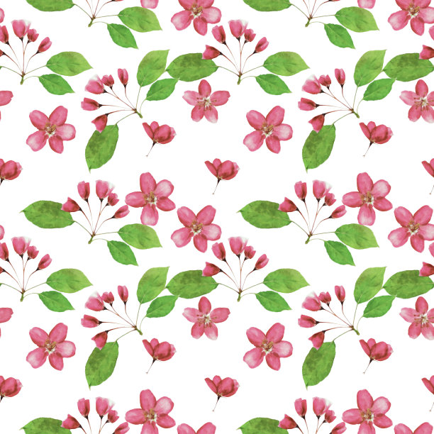 苹果的花。插图，花的纹理。连续复制的无缝模式。花卉背景，照片拼贴纺织品，棉织物。墙纸，封面，打印图片下载