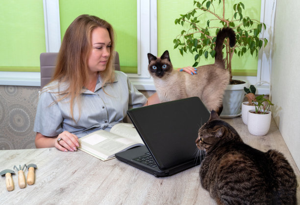 女人拿着书和笔记本电脑坐在桌子旁，抚摸着站在桌子旁边的暹罗猫。虎斑猫躺在桌子上。有选择性的重点。图片为有关动物的文章。图片下载