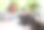 女人拿着书和笔记本电脑坐在桌子旁，抚摸着站在桌子旁边的暹罗猫。虎斑猫躺在桌子上。有选择性的重点。图片为有关动物的文章。图片下载