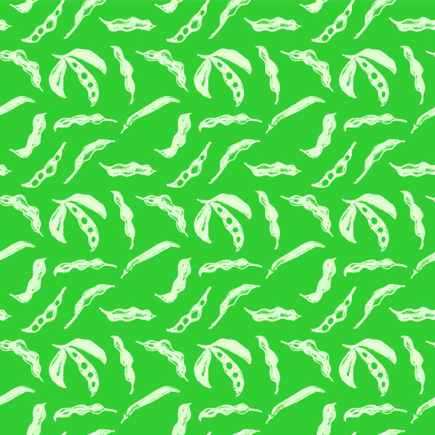 矢量大豆无缝模式。为酱油标签设计手绘大豆插图。图片下载