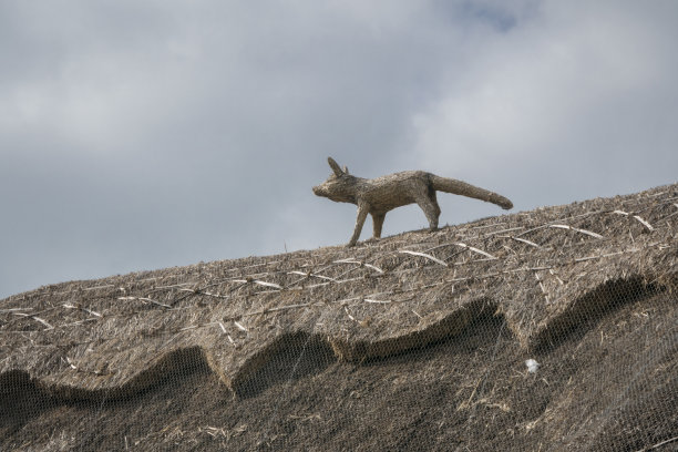 茅草屋顶的细节图片下载