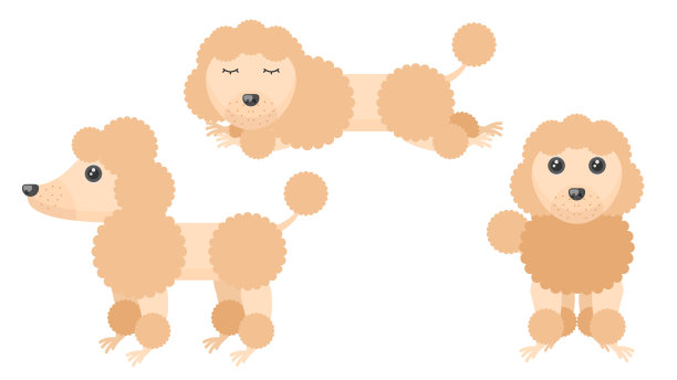 集合抽象集合平面卡通不同的动物哈巴狗，贵宾犬站立，Spleeping矢量设计风格元素动物野生动物图片下载