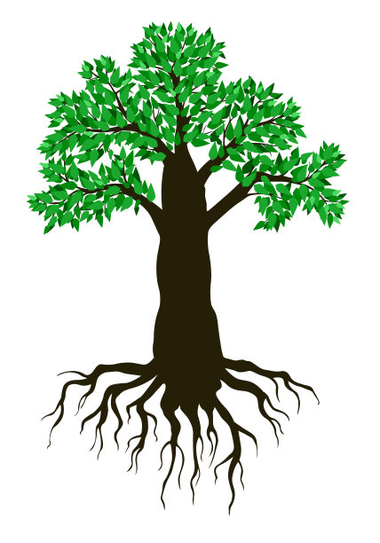 长着绿叶的大树图片下载