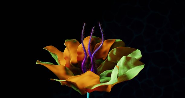 外星彩虹花朵特写3D渲染图片下载