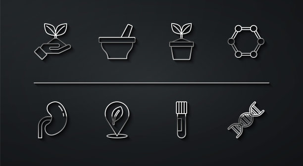 设置线植物在手，人的肾，分子，试管烧瓶，位置与叶子，研钵杵，DNA符号和壶图标。向量图片下载