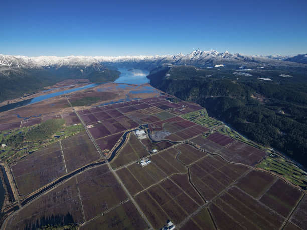 加拿大皮特草原农业和金耳朵公园航拍照片图片下载