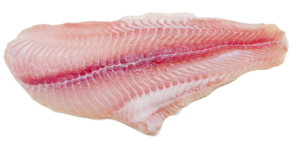 新鲜的鱼图片下载