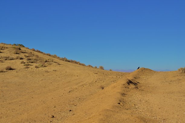 莫哈韦沙漠景观图片下载