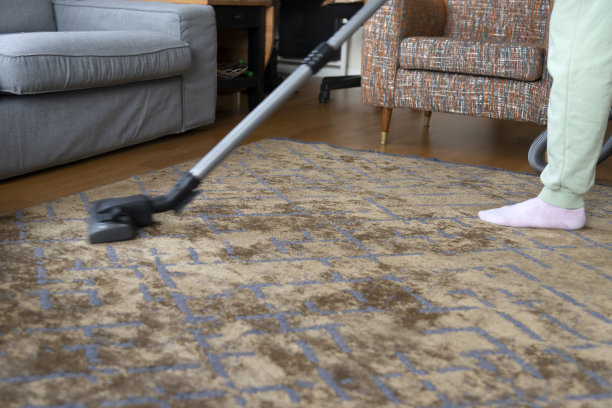 女人在打扫房子图片下载