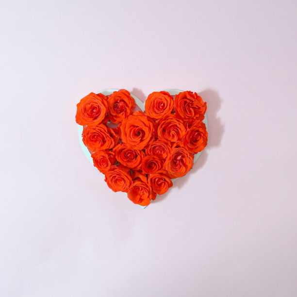 珊瑚红玫瑰，在淡粉色的背景上形成心形。浪漫爱情的概念。最小的花组成。图片下载