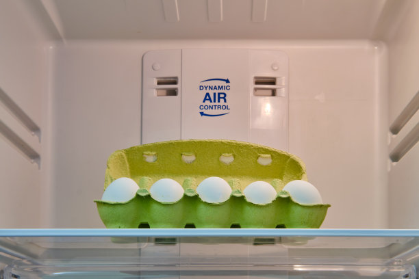 在一个空的白色冰箱里包装鸡蛋，特写镜头图片下载