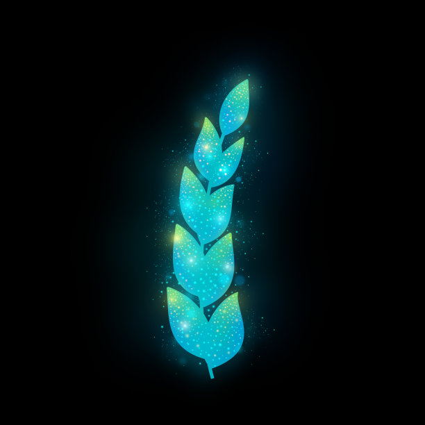 一个叶子元素孤立在黑色背景上图片下载