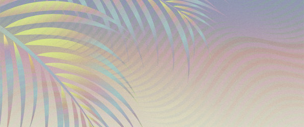 多色柔和的热带棕榈背景旗帜。图片下载