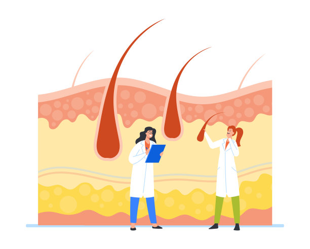 微小的毛发学家特征研究巨大的毛囊和头皮皮肤健康，皮肤科医生或美容师图片下载