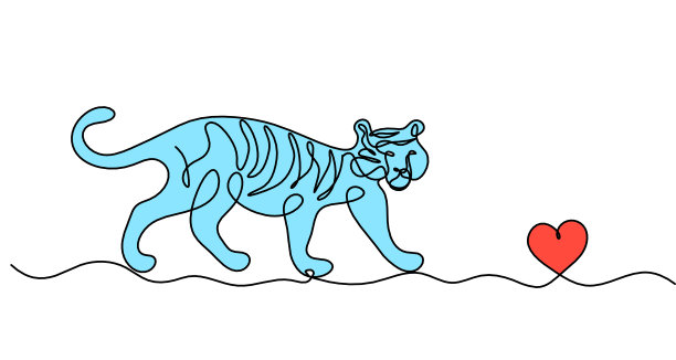 轮廓的抽象颜色老虎与心作为线绘制在白色上图片下载