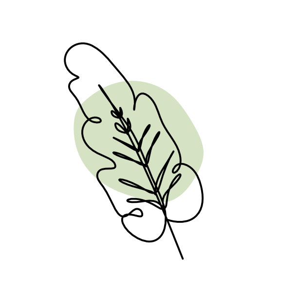 在白色的背景上以抽象的颜色作为线条绘制叶子图片下载