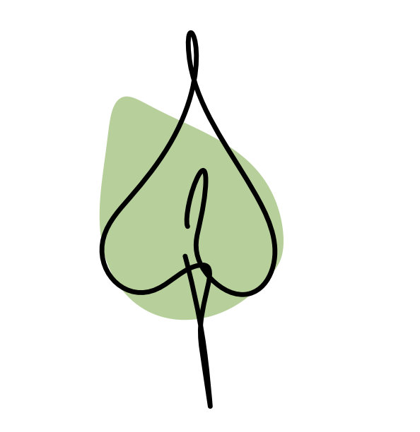 在白色的背景上以抽象的颜色作为线条绘制叶子图片下载