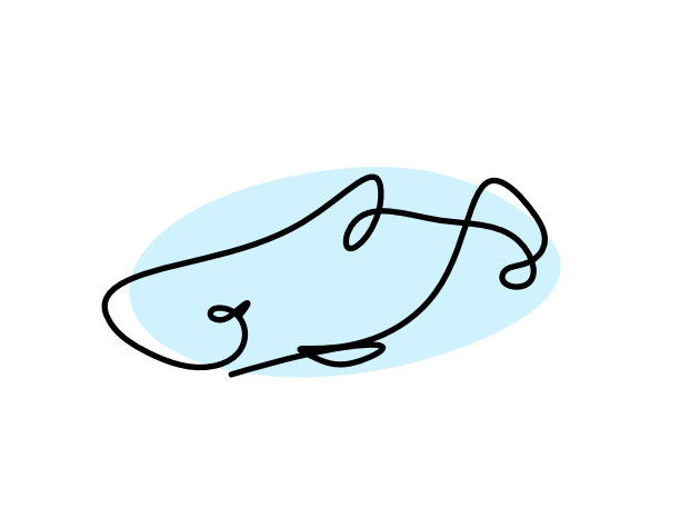 鱼的彩色轮廓线画在白色背景上图片下载