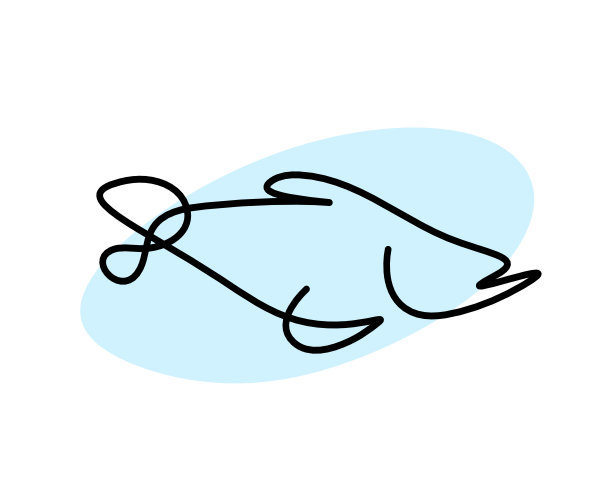 鱼的彩色轮廓线画在白色背景上图片下载