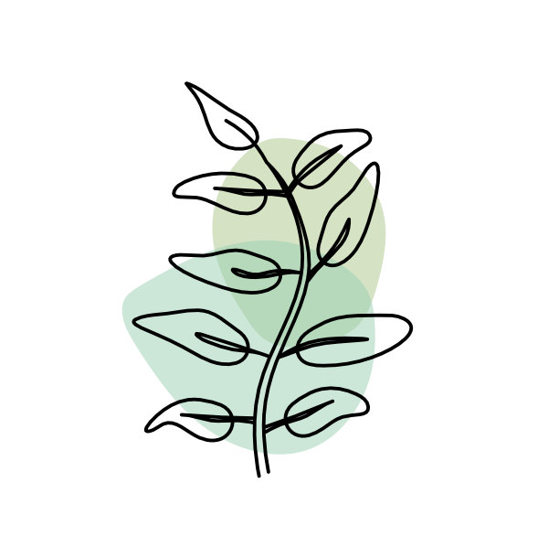 在白色的背景上以抽象的颜色作为线条绘制叶子图片下载