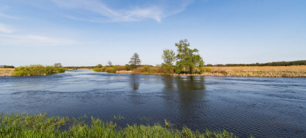 夏季河流草甸的美丽全景。图片下载