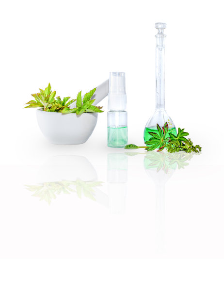 用研钵盛接骨木(Aegopodium podagraria)的新鲜绿叶，配以杵和香精或有机提取物。天然成分用于替代医学，健康化妆品的概念。图片下载