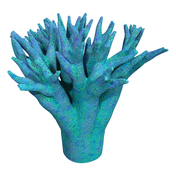 3D渲染珊瑚上的白色图片下载