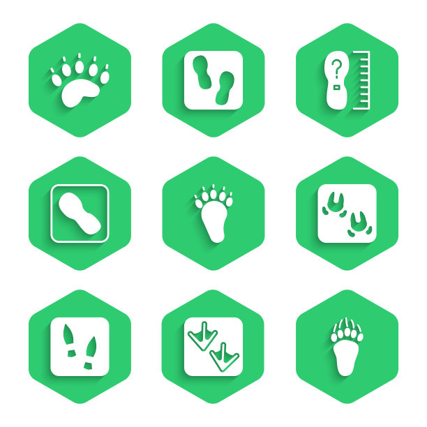 设置熊爪脚印，鹅，野猪，人的脚印鞋，方尺尺寸和图标。向量图片下载