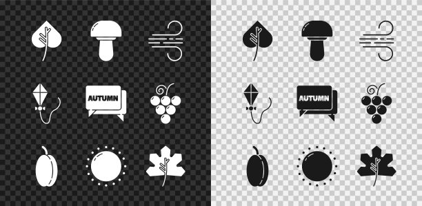 设置叶或叶，蘑菇，风，梅果，太阳，风筝和语音气泡与文字秋天的图标。向量图片下载